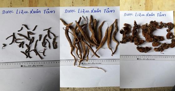 Cơ sở dược liệu uy tín – chất lượng cho mọi nhà