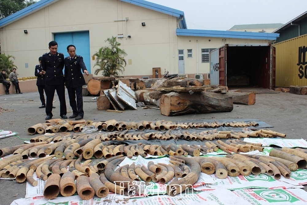 Hải quan tăng cường chống buôn lậu động vật