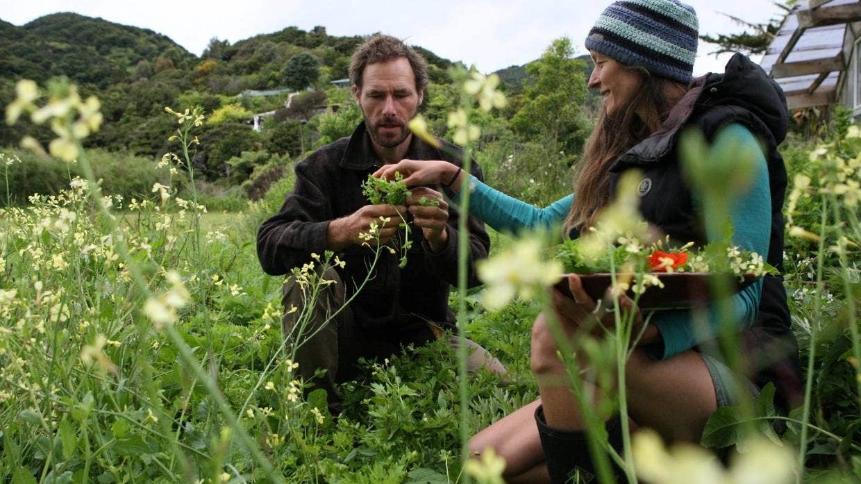 Cặp đôi vào rừng săn bắt hái lượm, sống hoang dã suốt 3 năm