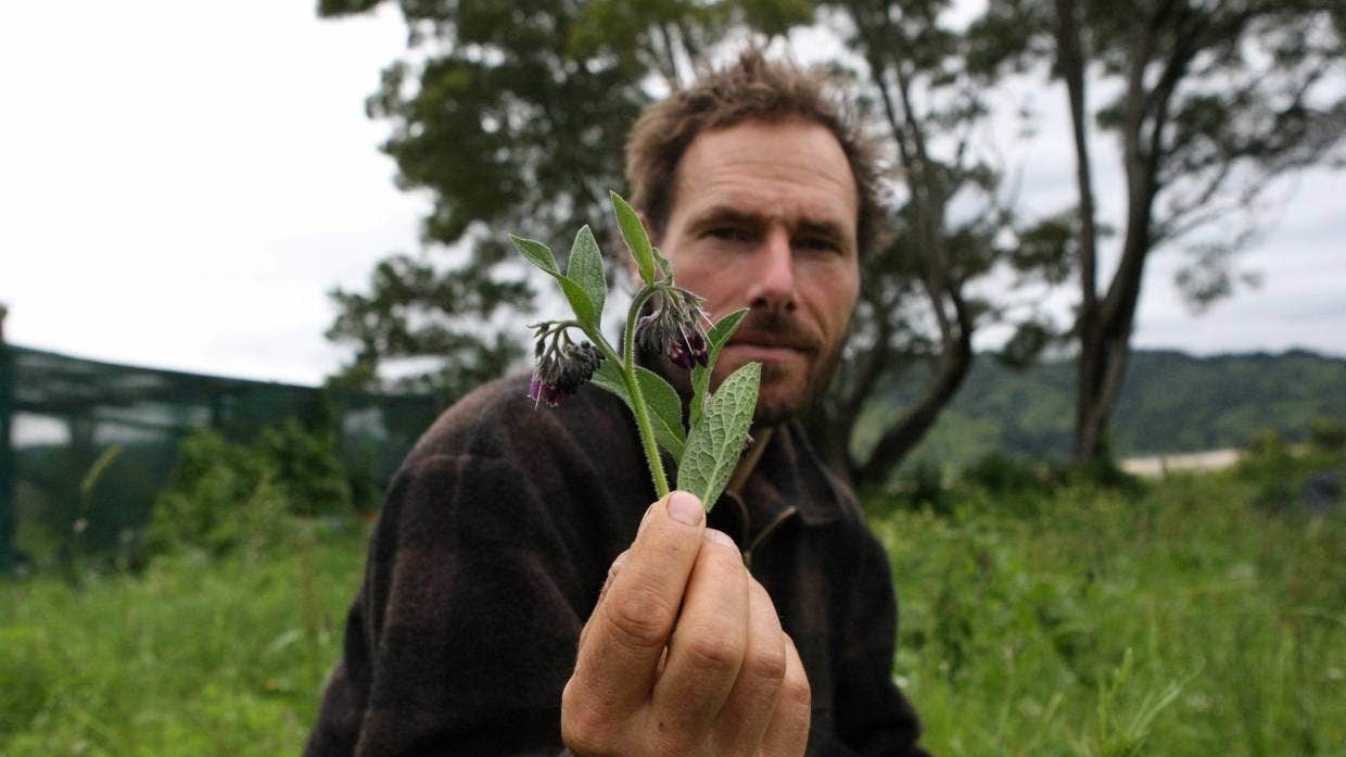 Cặp đôi vào rừng săn bắt hái lượm, sống hoang dã suốt 3 năm