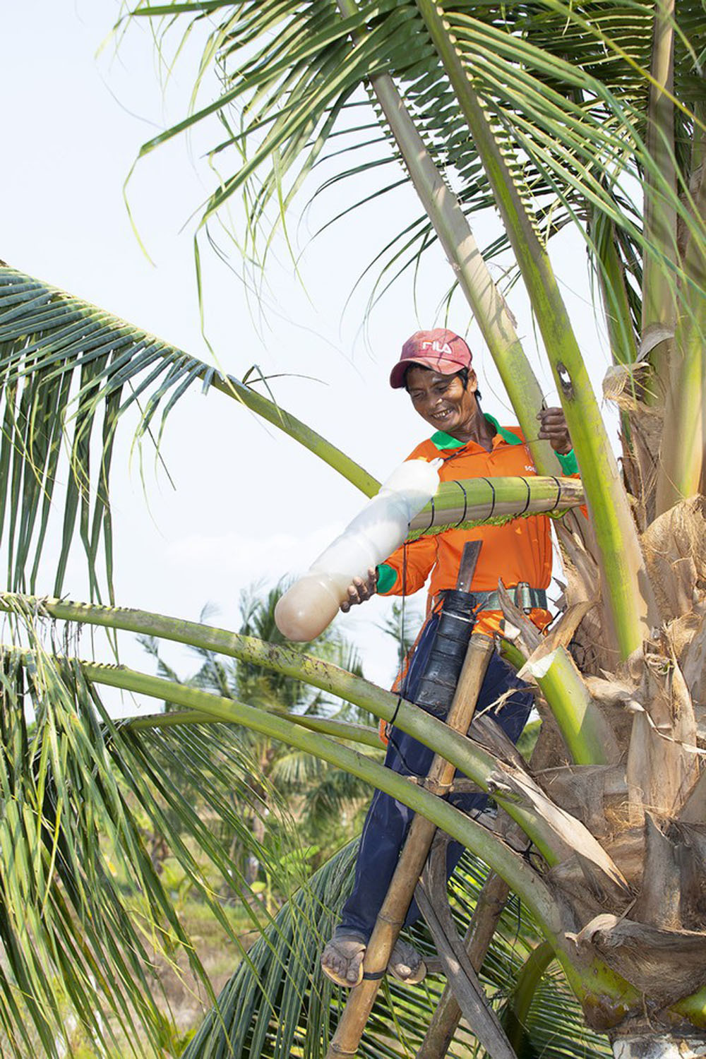 Mát xa hoa dừa, người phụ nữ Trà Vinh thu nửa tỷ mỗi tháng