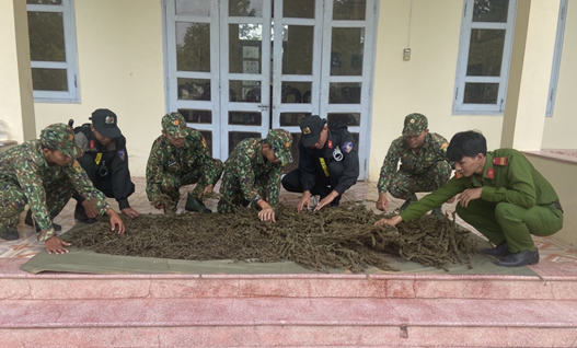 An Giang: Phát hiện bắt giữ gần 12 kg thảo mộc, nghi là cần sa