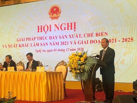 Chú trọng phát triển lĩnh vực chế biến và xuất khẩu gỗ