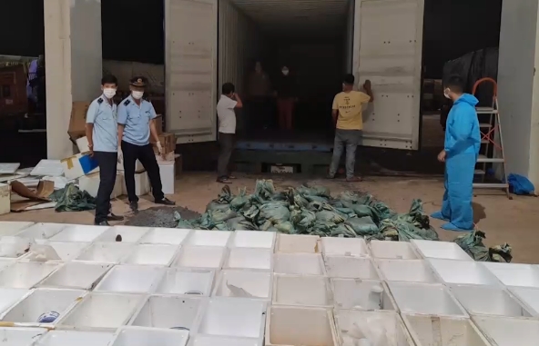 Quảng Trị: Khởi tố vụ “đánh tráo” hàng quá cảnh, thủ đoạn gian lận thương mại mới tại cửa khẩu Lao Bảo