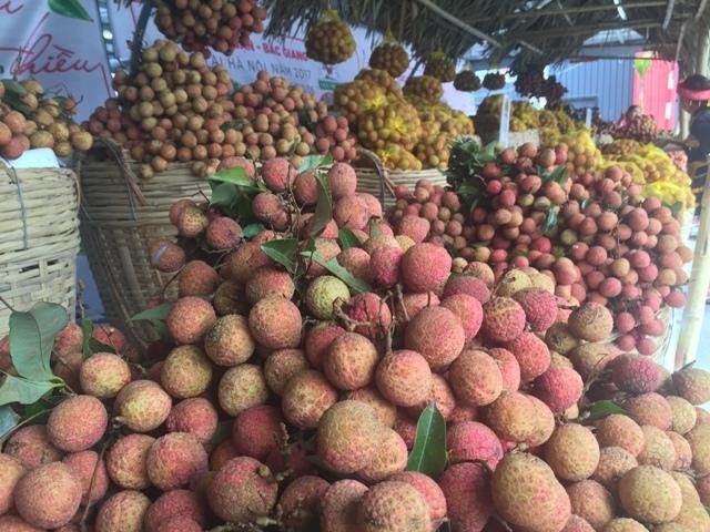 Thị trường xuất khẩu nông sản không còn dễ tính