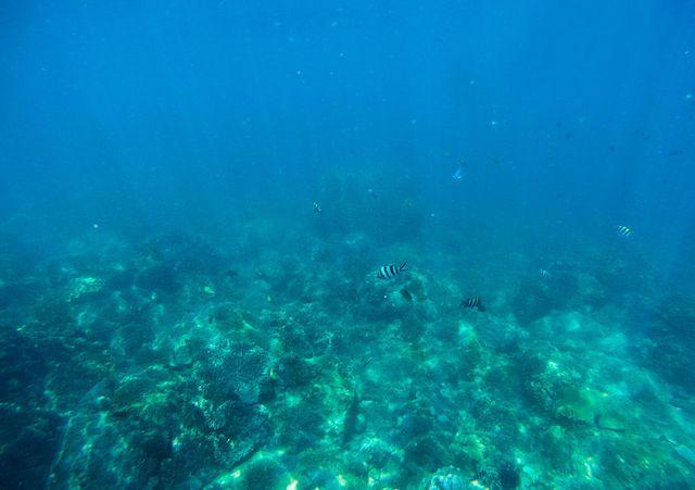 V&igrave; sao Hội An l&agrave; th&agrave;nh phố tuyệt vời nhất thế giới trong năm 2019 - 17