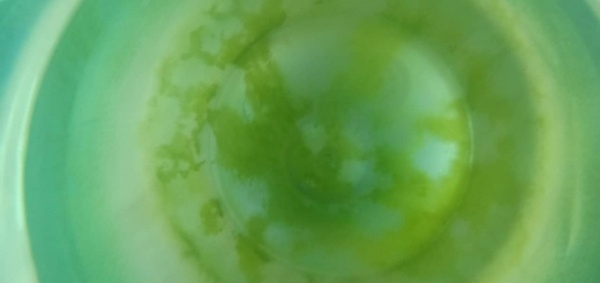 Vụ nước Lavie 19 lít mọc rêu bất thường: Nghi vấn nguồn nước Lavie có vấn đề?