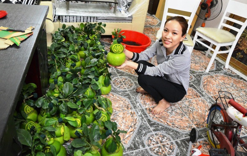 TPHCM: Săn trái cây độc, lạ phục vụ thượng đế ngày Tết - Ảnh 1.