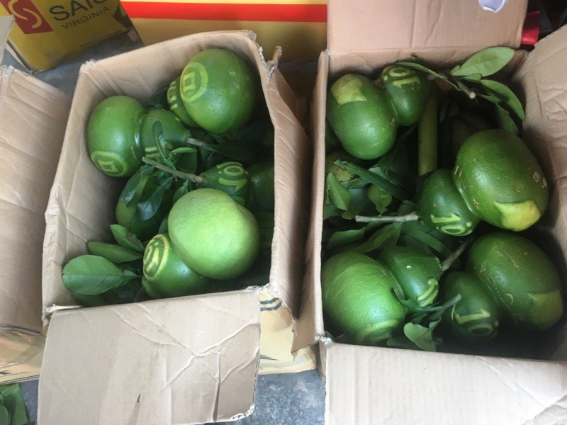 TPHCM: Săn trái cây độc, lạ phục vụ thượng đế ngày Tết - Ảnh 2.