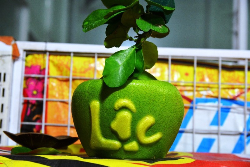 TPHCM: Săn trái cây độc, lạ phục vụ thượng đế ngày Tết - Ảnh 3.