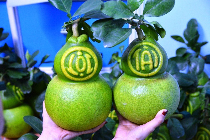 TPHCM: Săn trái cây độc, lạ phục vụ thượng đế ngày Tết - Ảnh 5.