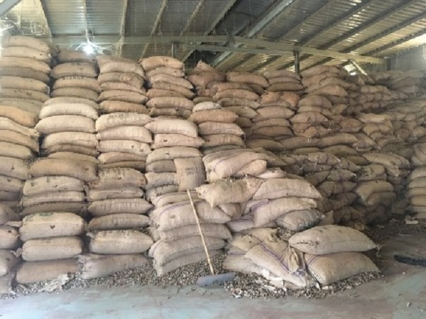 công ty nông sản.jpg