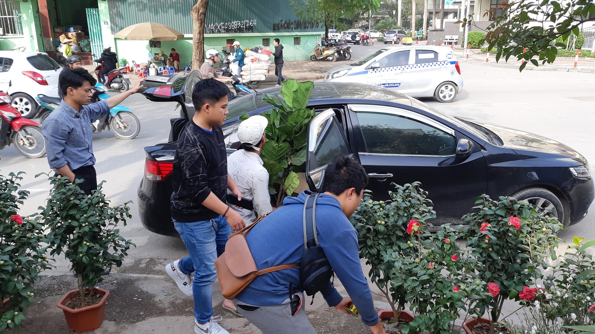 Cận Tết, hồng ngoại, hồng cổ Sapa thét giá chục triệu đồng/chậu - Ảnh 5.