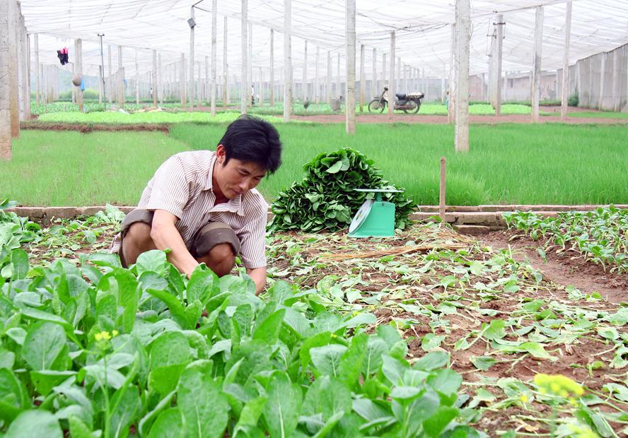 Mỗi chuỗi, một thương hiệu uy tín