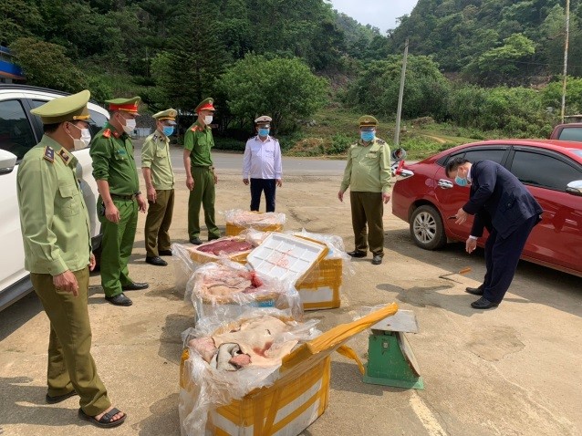 Sơn La: Kiểm tra, xử lý đối tượng vận chuyển gần 500kg nội tạng động vật không rõ nguồn gốc