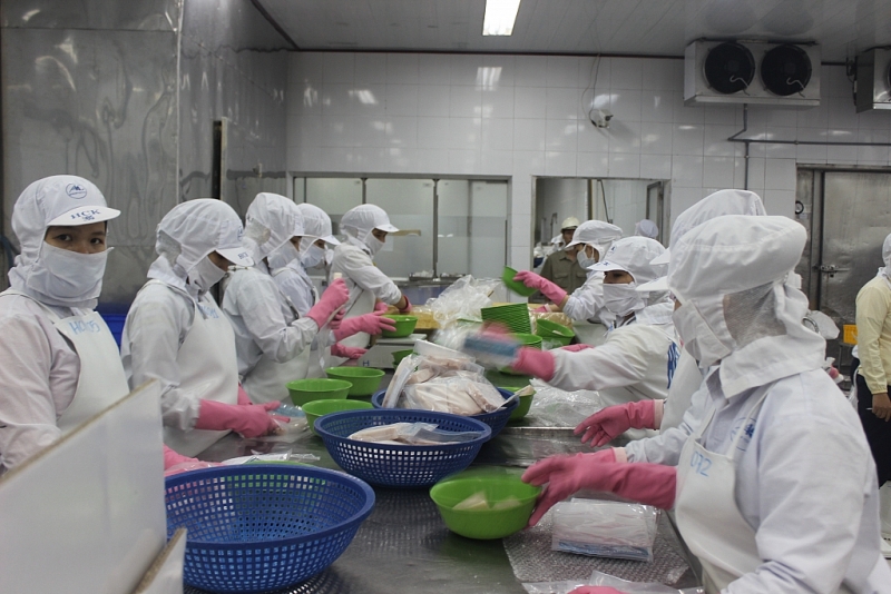  Xuất khẩu thủy sản tại Hồ Chí Minh đứng đầu cả nước