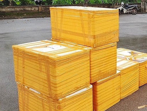 Quảng Ninh: Phát hiện nửa tấn cá tầm nhập lậu