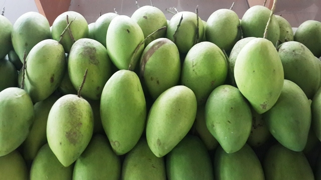 Xuất khẩu rau quả khởi sắc trong 3 tháng đầu năm