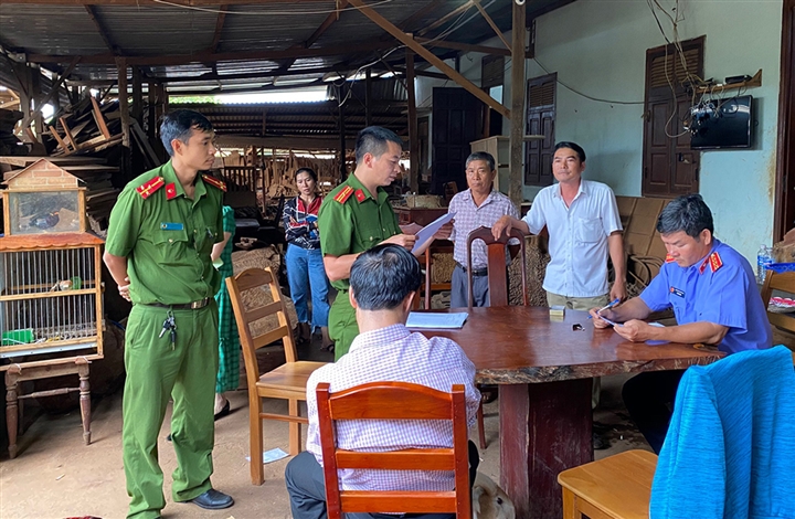 Truy tố 7 bị can mua bán gần 1.400m3 gỗ lậu tại Gia Lai