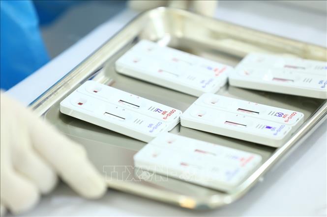Chấn chỉnh tình trạng mua, bán test nhanh tại nhà thuốc tại TP. Hồ Chí Minh