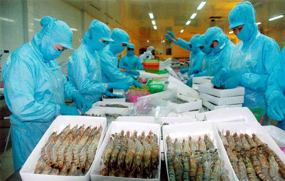 VASEP dự báo nhu cầu nhập khẩu tôm phục hồi từ quý II 2023
